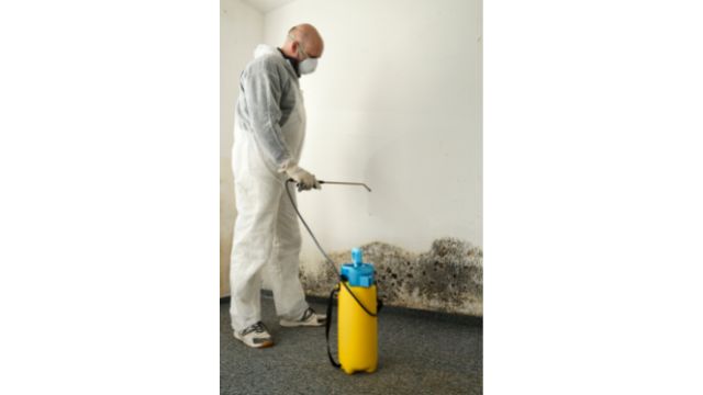 mold remediation services in Maryland