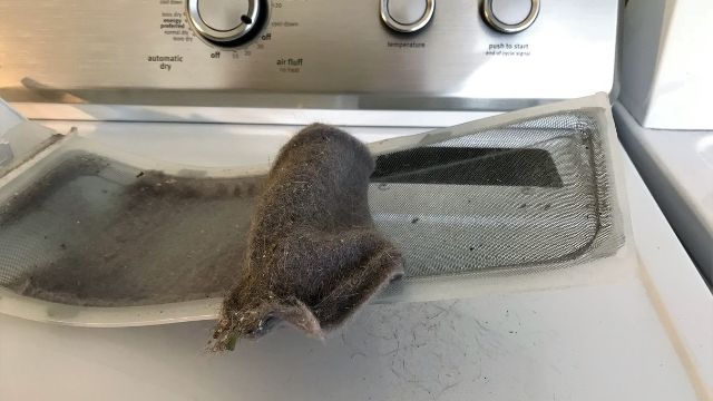 removing lint trap and know when to clean dryer vents? 